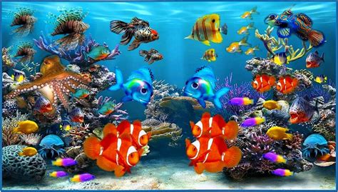 Fish Aquarium Video Screensaver Software Download Screensaversbiz