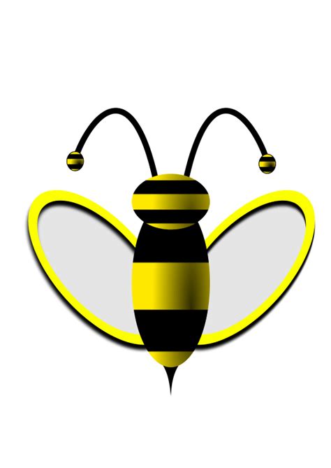 Bee Png Images Transparent Free Download Pngmart