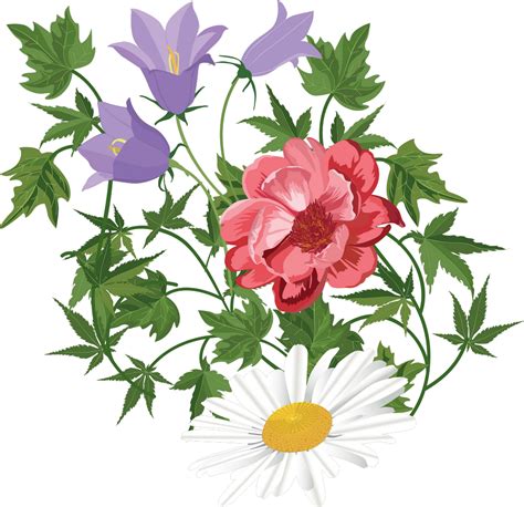 Flower Floral Design Clip Art Transprent - Flower - Png Download - Full Size Clipart (#1312591 ...