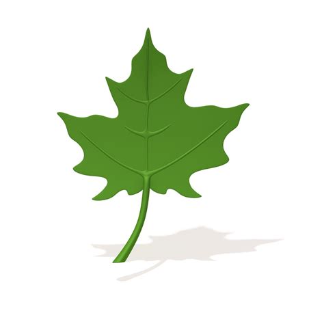 3d Model Maple Leaf Cartoon Cgtrader
