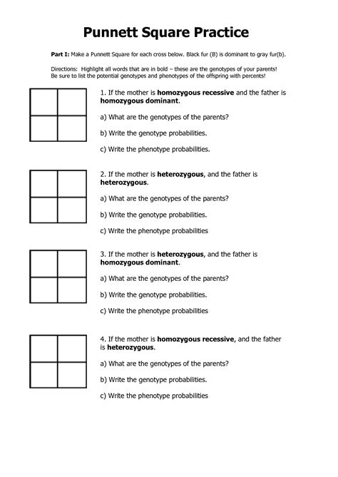 punnett square worksheet with answers