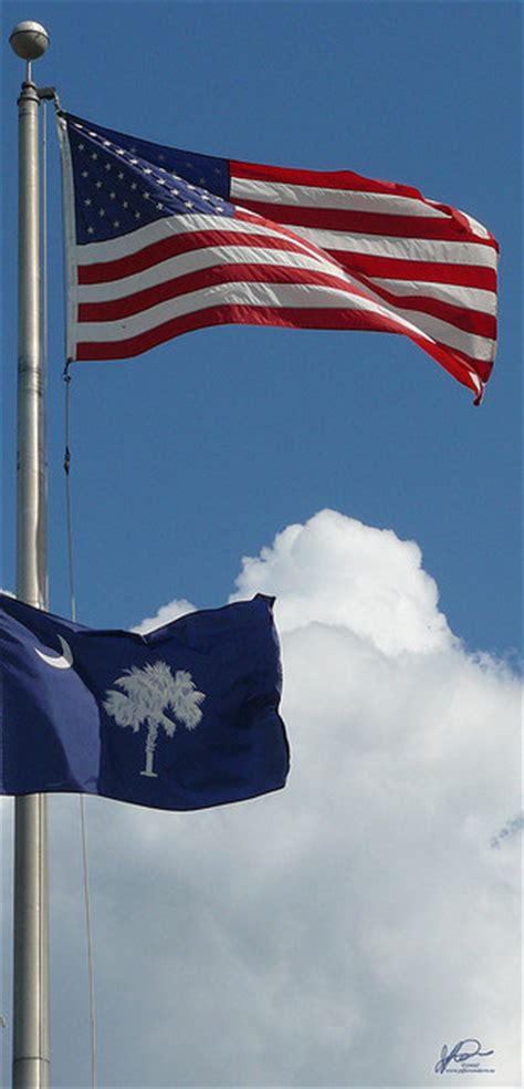 South Carolina Flag State Symbols Usa