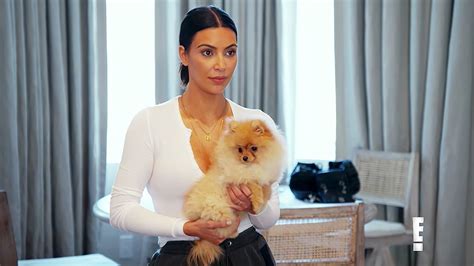 Kim Kardashian Steals Niece Penelope Dog In Kuwtk Clip