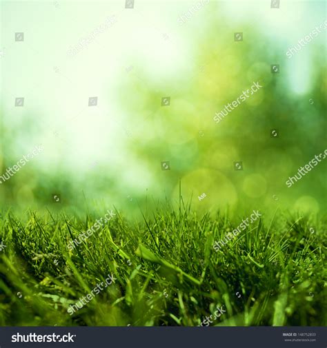 Abstract Natural Backgrounds Beauty Bokeh Stock Photo 148752833