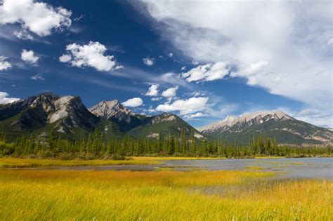 Browse The Beauty Of Jasper National Park In Alberta