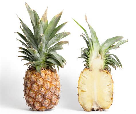 Filepineapple And Cross Section