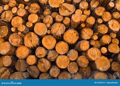 Wood Lumber And Trees Stock Photo Image Of Natural 6103514