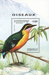 Stamp African Pitta Pitta Angolensis Cambodia Birds Mi Kh