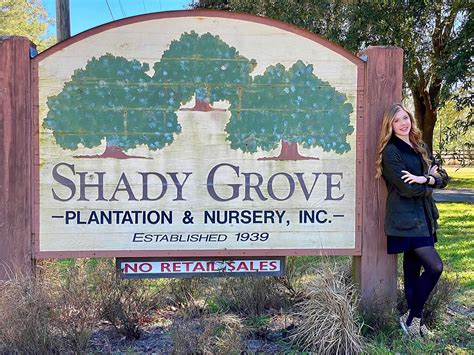 Shady Grove Plantation And Nursery Home