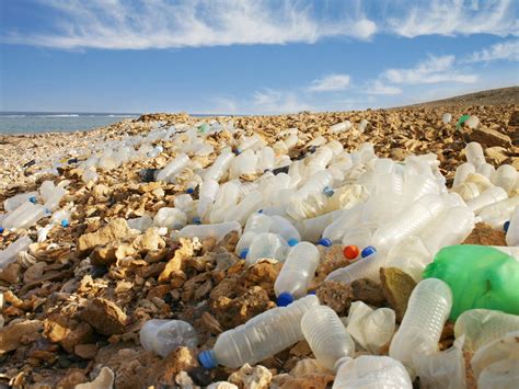 Coca Cola And Nestle Among Worst Plastic Polluters Based On Global