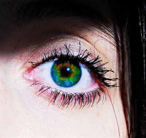 45 Best Heterochromia Images On Pinterest Pretty Eyes Gorgeous Eyes And Beautiful Eyes