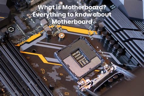What Is Motherboard Everything To Know About Motherboard