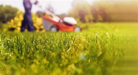 Three Reasons To Hire A Professional Lawn Care Company