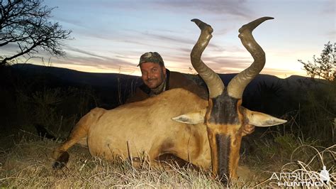 Win A Free South African Hunt Valued At Us11635 For 2 Hunters From