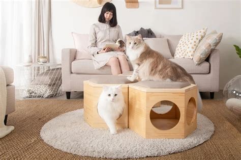 This Multifunctional Cat Chair Design Doubles As A Coffee Table And