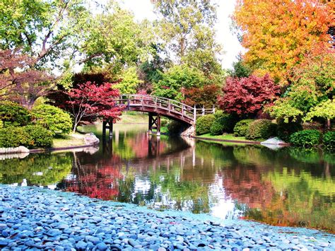 Japanese Botanical Garden This Innocence Is Brilliant I H Flickr