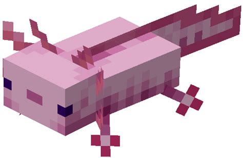 Axolotldv Official Minecraft Wiki