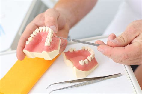 4 Types Of Teeth Mississauga Dentist And Dental Office Jauhal Dental