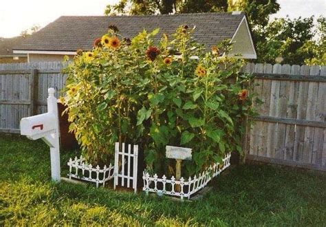 35 Beautiful Sunflower Garden Ideas To Add Happy Vibes To Your Home