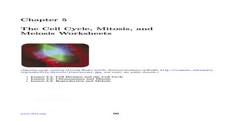 Cell division reading comprehension worksheet mitosis and meiosis science answer key : Cell Division Reading Comprehension Worksheet Mitosis And Meiosis Science Answer Key : Cell ...