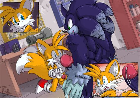 Image 2499232 Sonic Team Sonic The Werehog Tails Omegazuel