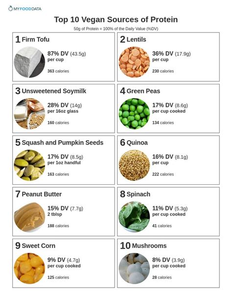 8 Favorable List Of Vegetarian Foods