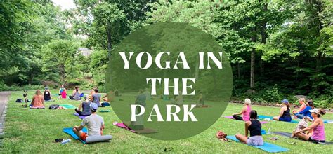 city of detroit free yoga in the park for all ages and body types true royal universe™