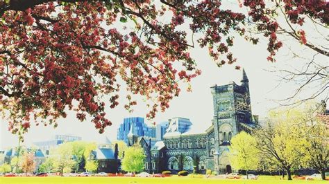 28 Things Every U Of T Student Must Do Before Graduating Narcity