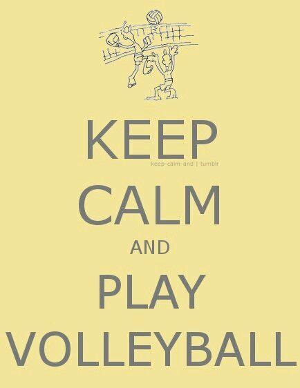 Play Volleyball Play Volleyball Volleyball Volleyball Quotes