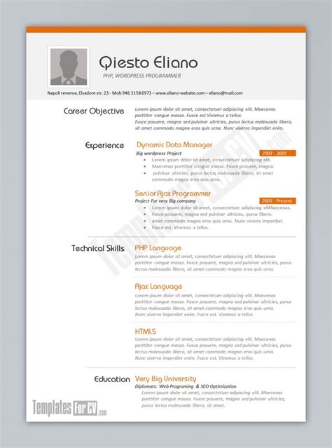 An excellent example of a resume. Programmer CV Template