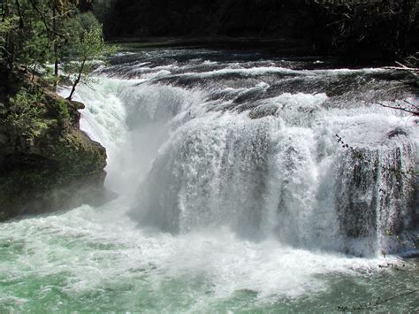 By placing a query in quotation marks lower lewis river falls you can find a complete match. Lower Lewis River Falls in WA | Lower Lewis River Falls in ...