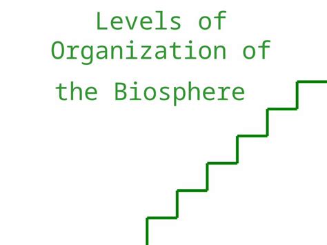 Ppt Levels Of Organization Of The Biosphere Organism System Organ