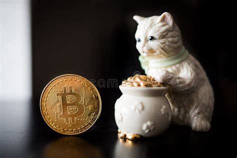 Cryptocurrency Cat Stock Photos Free And Royalty Free Stock Photos From