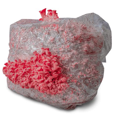Grow Your Own Pink Oyster Mushroom Kit | Michigan Mushroom ...