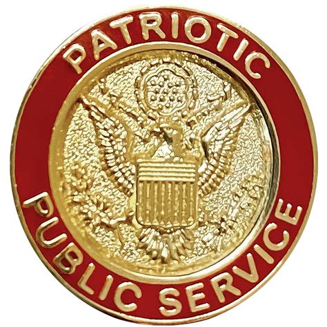 Patriotic Public Service Lapel Button Usamm
