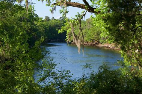 9 reviews of suwannee river state park this was our second trip to swannee river state park. Suwannee River State Park: The Practical Guide