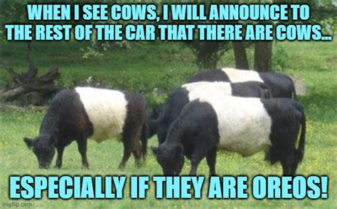 Oreo Cows Imgflip