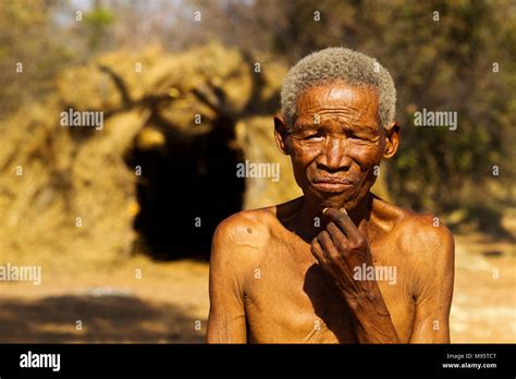 Old Ju Hoansi Or San Bushmen In Front Of An Grass Hut At Their Village Grashoek Namibia Stock