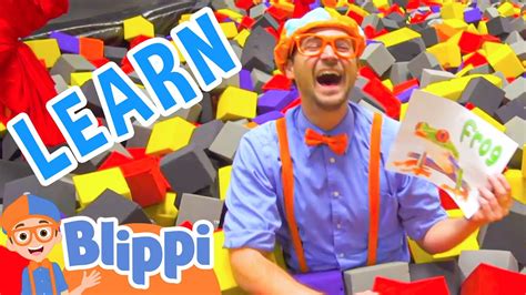 Blippi Learns About Animals At An Indoor Trampoline Playground Fun