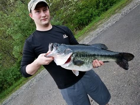New State Record Largemouth Bass Caught In Harlan County Kentucky Living