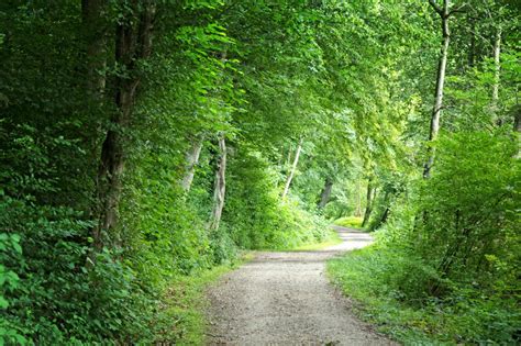 Terbaru 21 Nature Trail Path