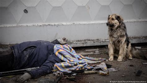 Its A Symbol Of Sadness The Dog Guards His Murdered Owner In Bucha