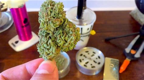 Green Crack Strain Review And Info By Greenbox Grown Youtube