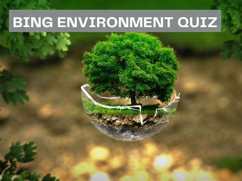 Bing Environment Quiz Test Your Knowledge On Bing Quiz