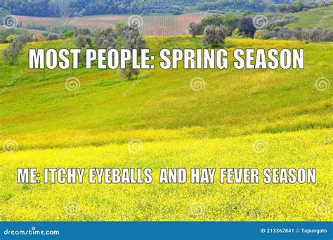 Allergic To Pollen Meme Stock Image Image Of Spring 213362841