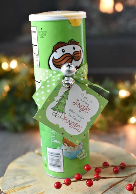 Looking for a special gift for an engineer in your life? Funny Christmas Gift Idea with Pringles - Fun-Squared