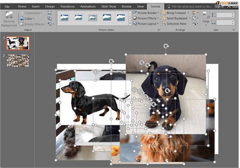 How To Make A Photo Collage In Microsoft Powerpoint