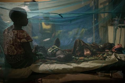 Brain Swelling Tied To Deaths From Malaria The New York Times