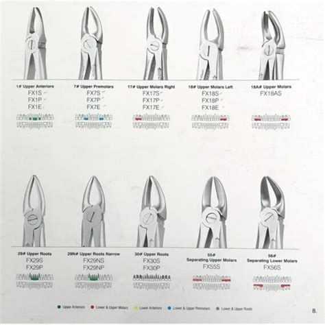 gdc extraction forceps reliable and affordable dental units edi dental