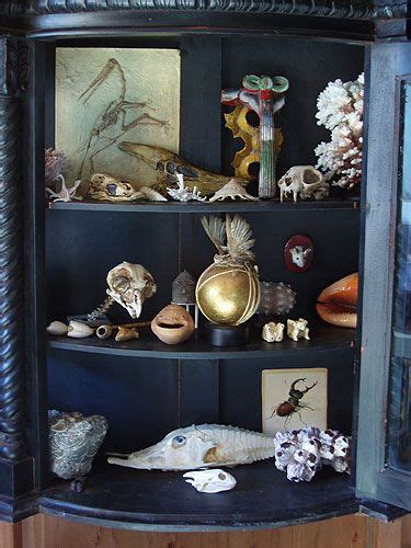 It is our hope that what we have created will be the modern day equivalent of a. Zymoglyphic Museum - Curiosity Cabinet | Curio decor ...